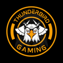 Thunderbirdgaming
