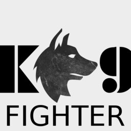 Fighter Montarzysta