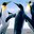 Obely