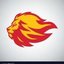 WILD-FIRE