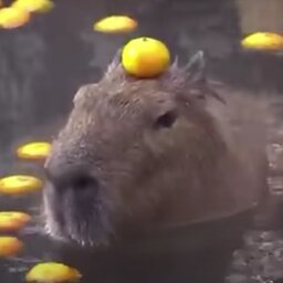 w6rst
