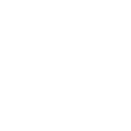 The International 2024