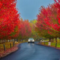 Australia Cricket Club