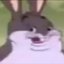 ChungusGang (was deleted at: 2020-02-05T17:14:20.8624369Z)