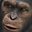 apestogetherstrong123