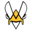 Team Vitality-