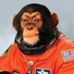 space_monkey67