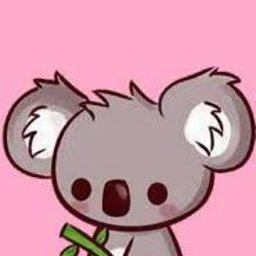 koallo.misiek
