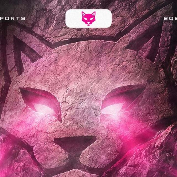 TRS Esports on Instagram: "risveglio. 🏔️🐾

Abbiamo guardato le vette, abbiamo puntato all’orizzonte e ora siamo pronti a prenderci tutto. Nasce una nuova realtà, nata in Italia ma con lo sguardo rivolto all’Europa. Non siamo qui per partecipare, siamo qui per dominare.

L’immagine che vedete è la nostra identità: la roccia è la nostra solidità, il richiamo alle origini italiane e al territorio. Il bagliore negli occhi è la nostra ambizione, il fuoco competitivo che brucia e che ci spingerà a scalare ogni classifica fino a raggiungere le vette più alte del panorama esports continentale.

Siamo pronti. La scalata inizia oggi. 🇮🇹🇪🇺

Grafica realizzata da @dazxe_art  numero uno nel suo settore 

#Esports #NewOrg #ItalianEsports #RoadToTheTop #gaming"