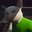 MozarellaEnjoyer