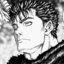 arres_op