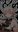 Los_bot_Portel