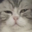 kr0fna1
