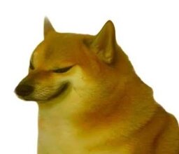 Dog??