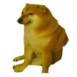 bambi dont question it#