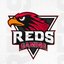 REDS Gaming VAL
