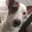 xxxxvvv (was deleted at: 2024-09-19T22:19:28.8703451Z)
