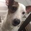 xxxxvvv (was deleted at: 2024-09-19T22:19:28.8703451Z)