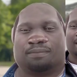 Xenofo_.BGL