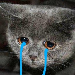 romashka271205@mail.ru