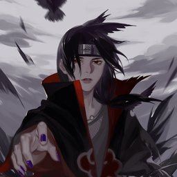 kasagak1