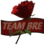 TEAM BRE