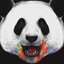 dEvah-