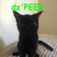 dz'PEEK