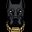 DarkWolf0