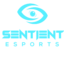 SNT eSports (was deleted at: 2022-05-08T22:05:50.1581046Z)