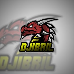 DjibrilBiel