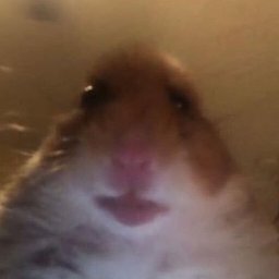 udrijedraganenijetvoja#4878