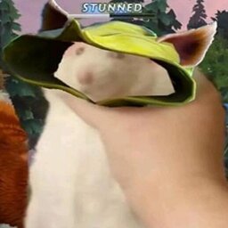 pdsdoto