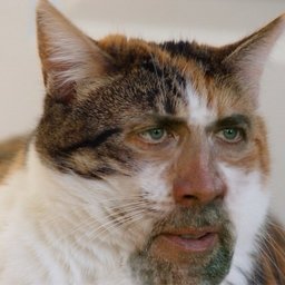zob5