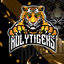 HolyTigers
