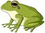 FROG ESPORT