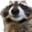 dariuz