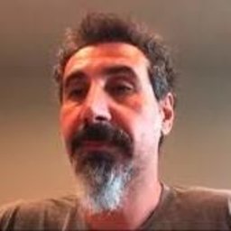 sad serj