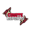 COYOTE ESPORTS