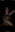 VINICIUS_007