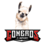 CONEROS ESPORT