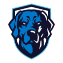 Ontario Tech Esports
