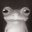FrogSlave3