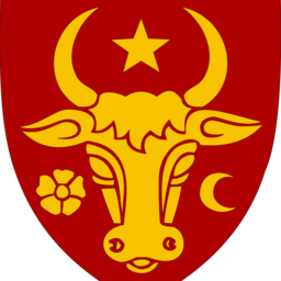 AndreiMolea