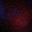 f0ster-