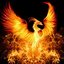 Phoeniix B