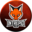 Intrepid Fox Valorant