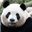 Pandin#5731