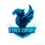 VyreX Esports