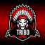 TRIBO E-SPORT (was deleted at: 2022-04-04T23:55:46.5651415Z)